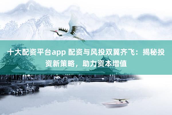 十大配资平台app 配资与风投双翼齐飞：揭秘投资新策略，助力资本增值