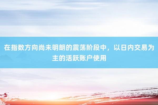 在指数方向尚未明朗的震荡阶段中，以日内交易为主的活跃账户使用